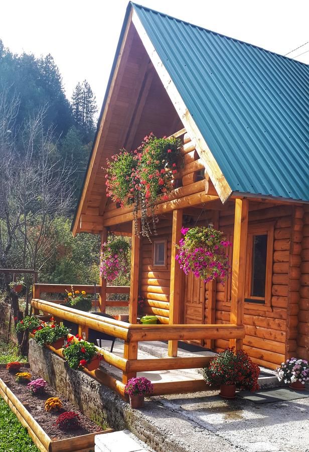 Лоджи Brvnara Borovik Цетине-38