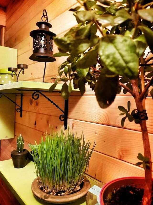 Лоджи Brvnara Borovik Цетине-15