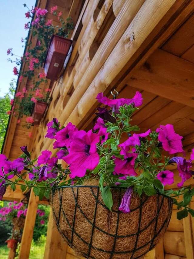 Лоджи Brvnara Borovik Цетине-30