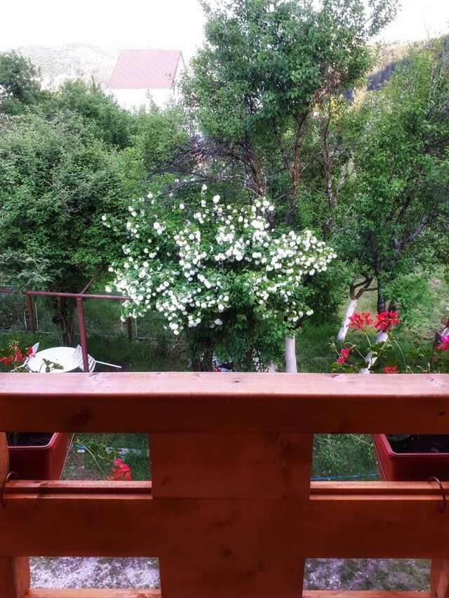 Лоджи Brvnara Borovik Цетине-33