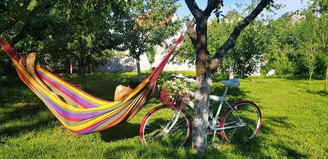 Лоджи Brvnara Borovik Цетине-35