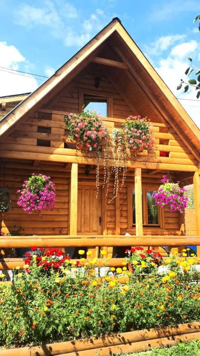 Лоджи Brvnara Borovik Цетине-36