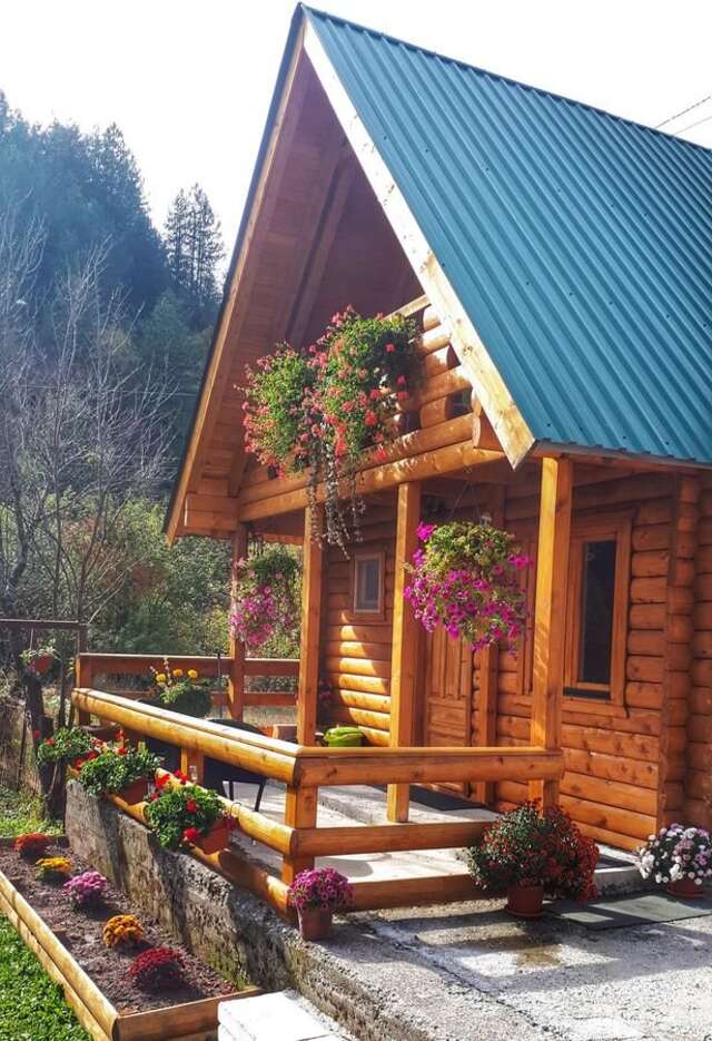 Лоджи Brvnara Borovik Цетине-37