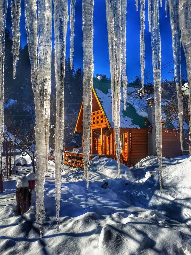 Лоджи Brvnara Borovik Цетине-39