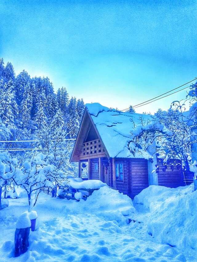 Лоджи Brvnara Borovik Цетине-40